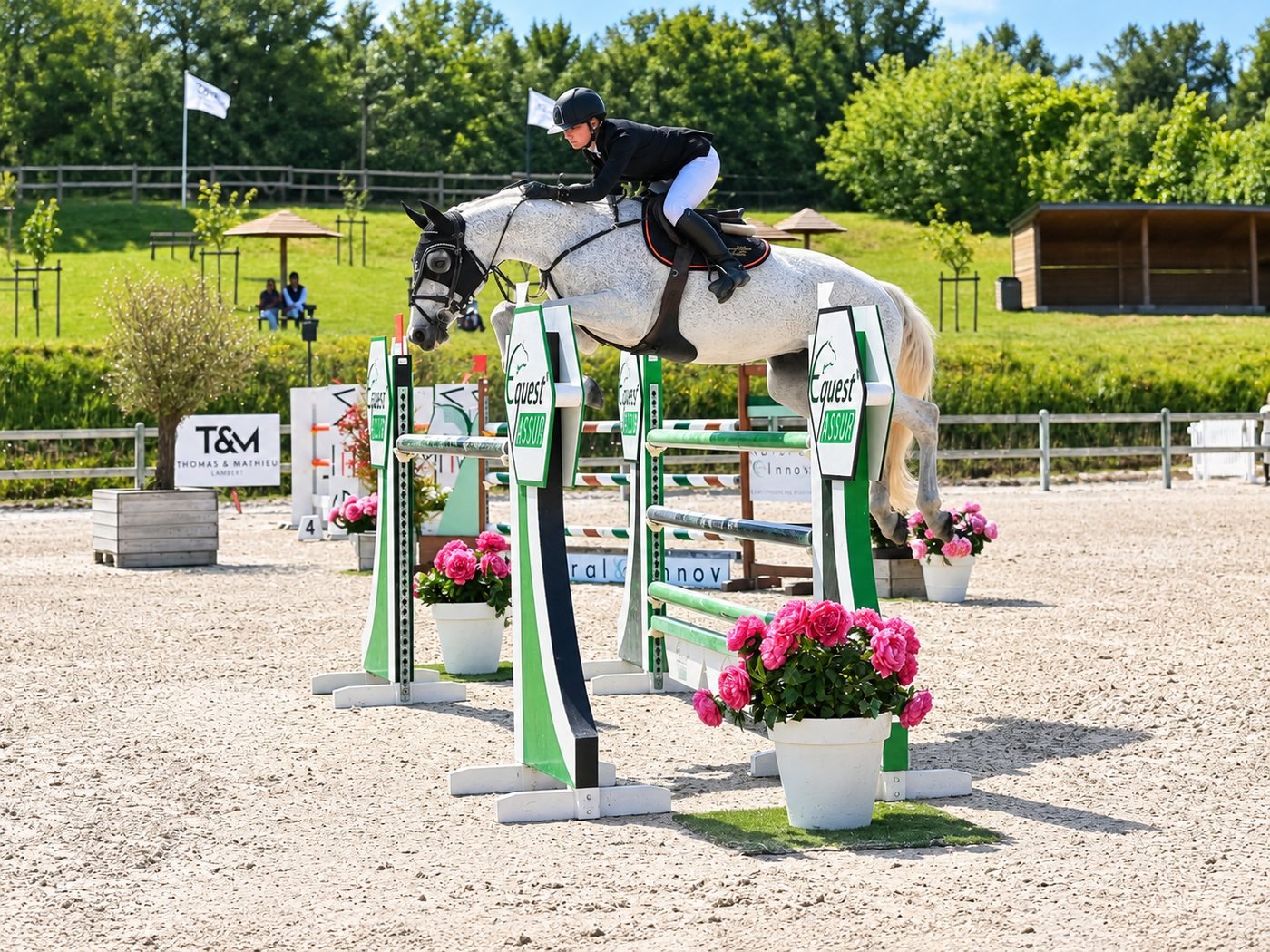 Cavalier en plein saut sur un cheval gris, en concours de saut d'obstacles