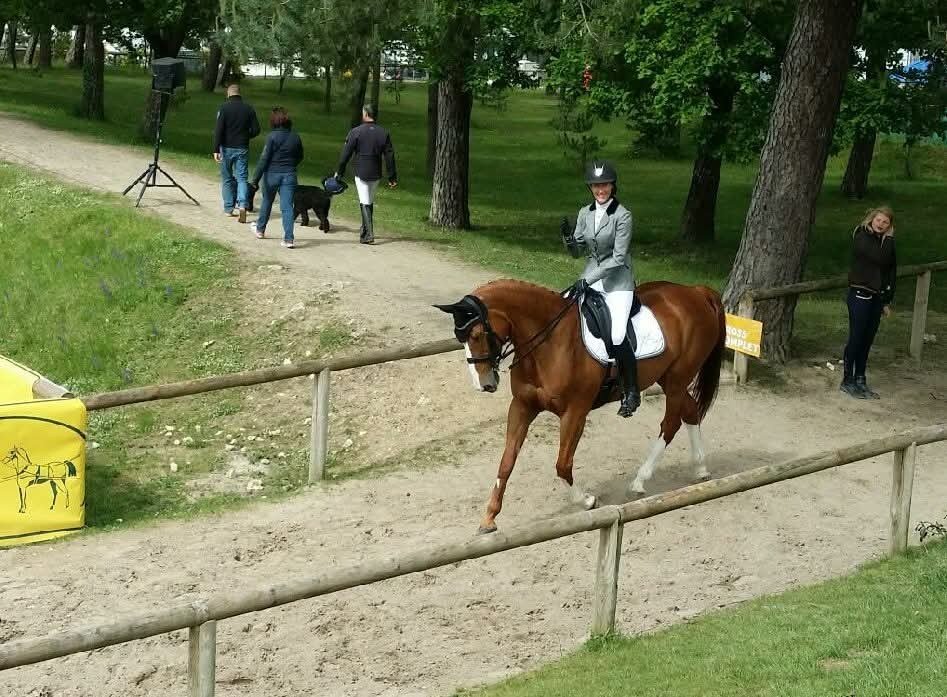 Cavalière saluant au pas sur son cheval alezan après sa reprise de dressage
