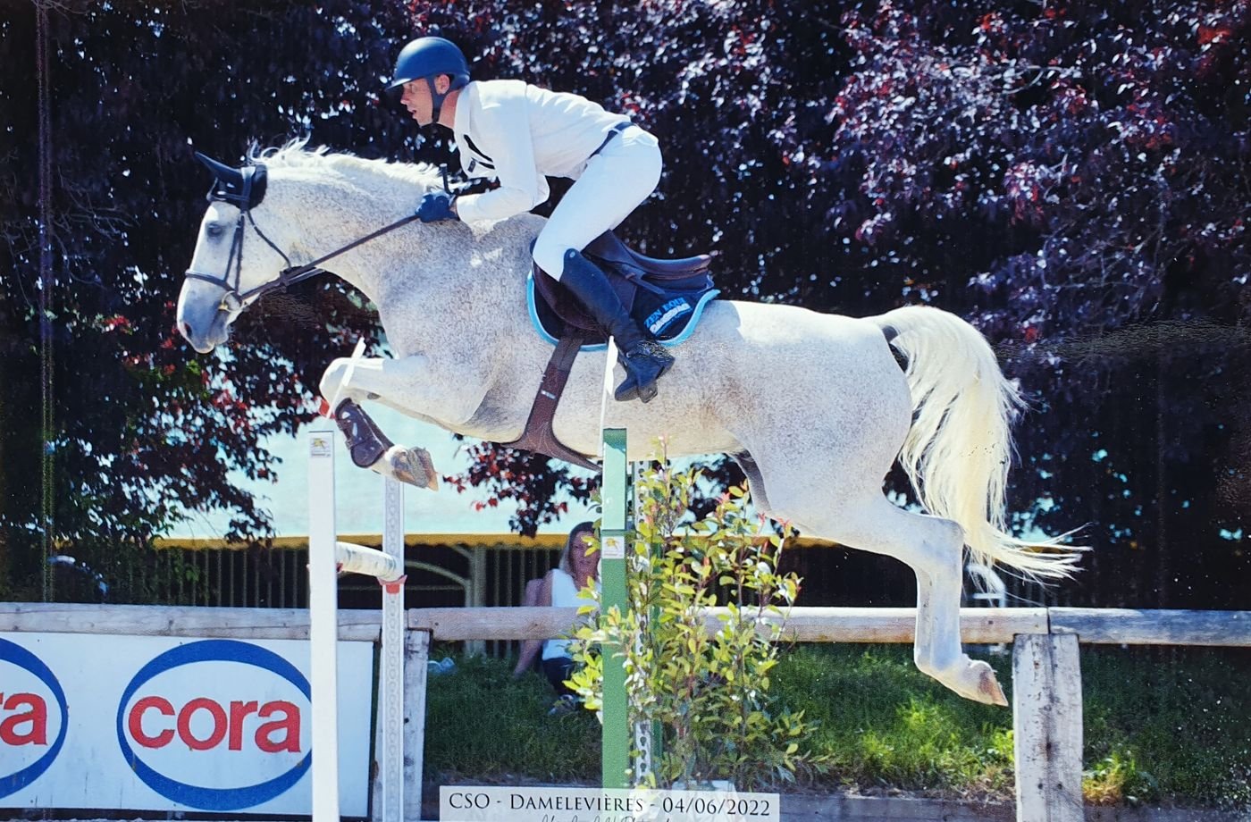 Marc-André van Delft à l'obstacle sur son cheval gris