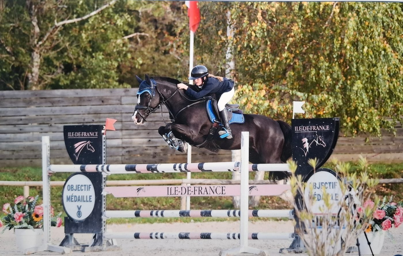 Cavalière en plein saut sur un cheval noir, en concours de saut d'obstacles